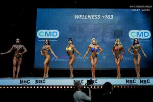 WELLNESS +163
